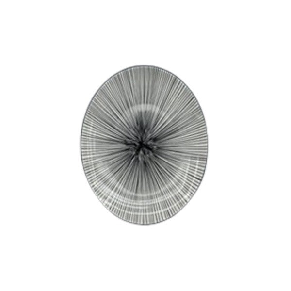 105P 2010 10.5"Flat Plate 6-36c