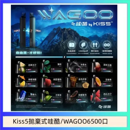 拋棄式電子煙高顏值設計 隨身潮玩 質感拉滿