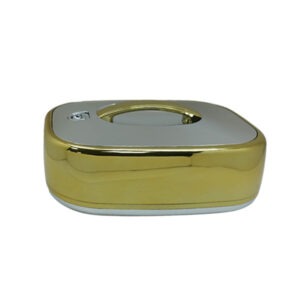 775G/S 5.5Ltr Rect Gold+Silver H-P 6c