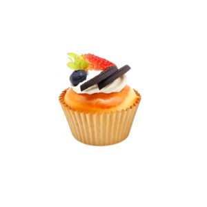GX-010(GX-205) Artificial Muffin