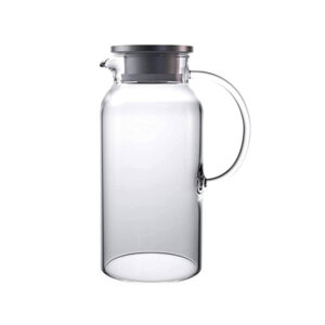 BG45135 Glass Jug  Steel-L