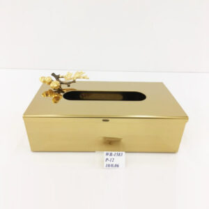 WB1583 Tissue Box (G)